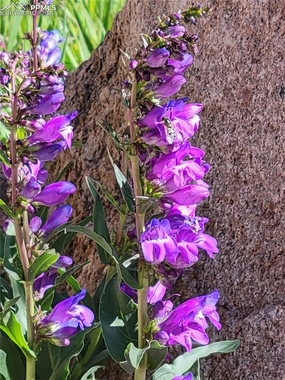 Image 34 of 47: Other