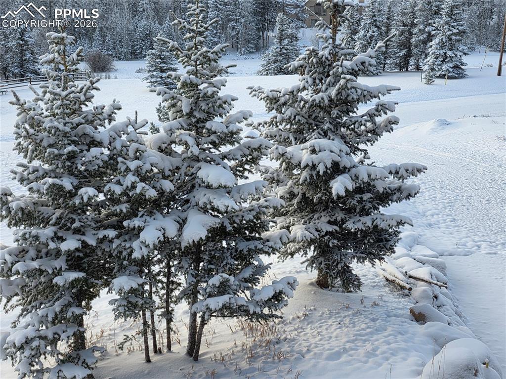 Image 35 of 47: Aerial View