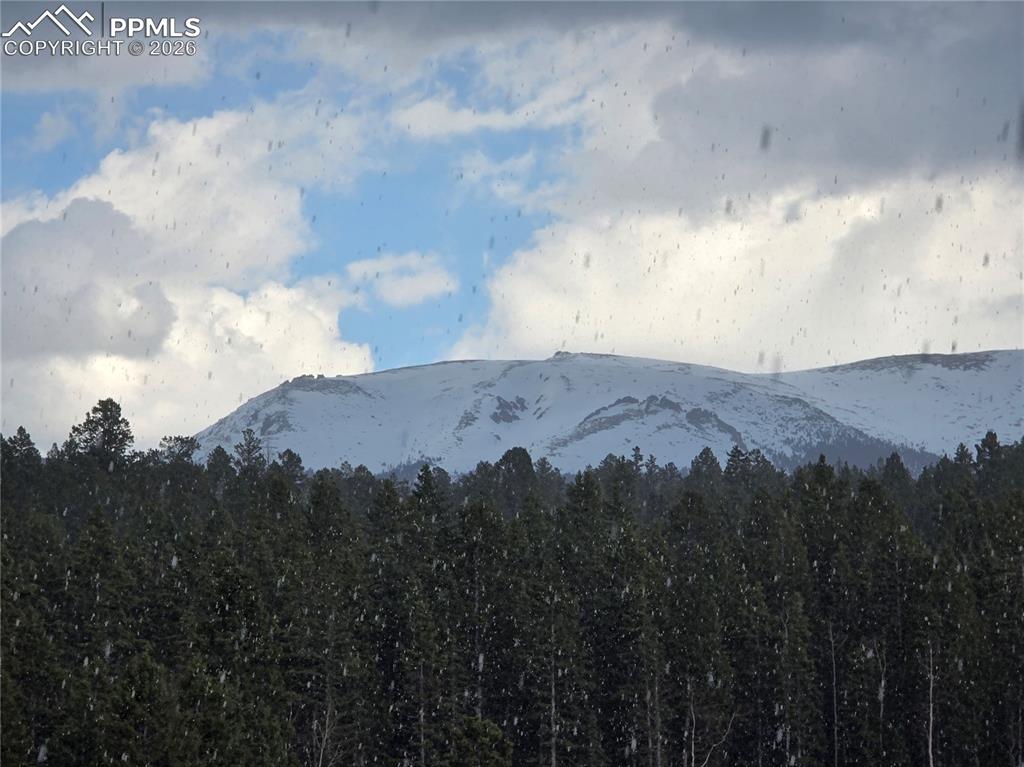 Image 36 of 47: View