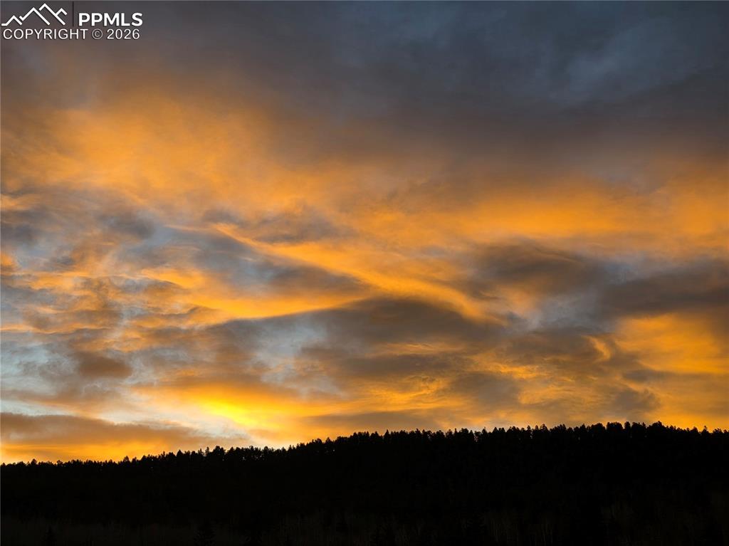 Image 37 of 47: Other