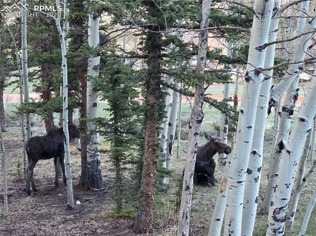 Image 38 of 47: Other