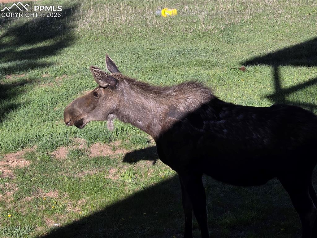 Image 40 of 47: Other