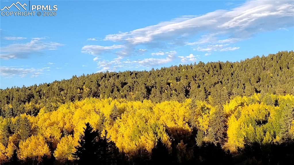 Image 44 of 47: Other