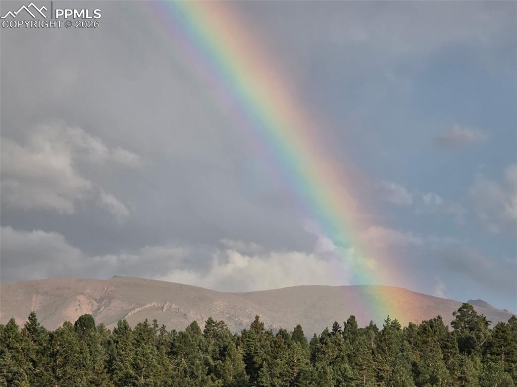 Image 45 of 47: View