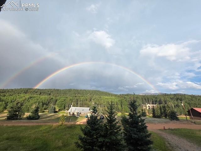 Image 46 of 47: View