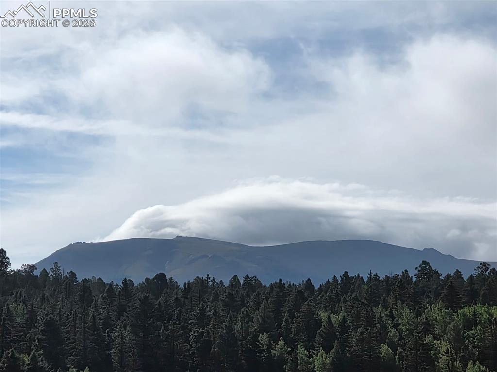 Image 47 of 47: View from Loft 