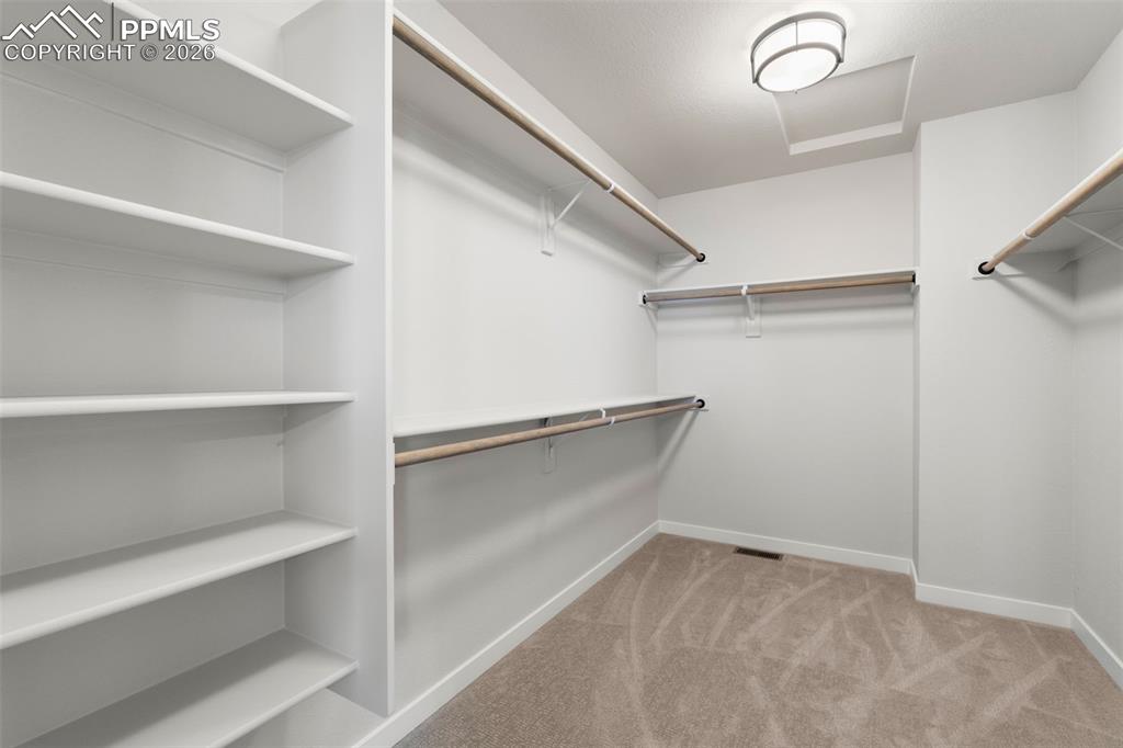 Image 37 of 50: No Description Available