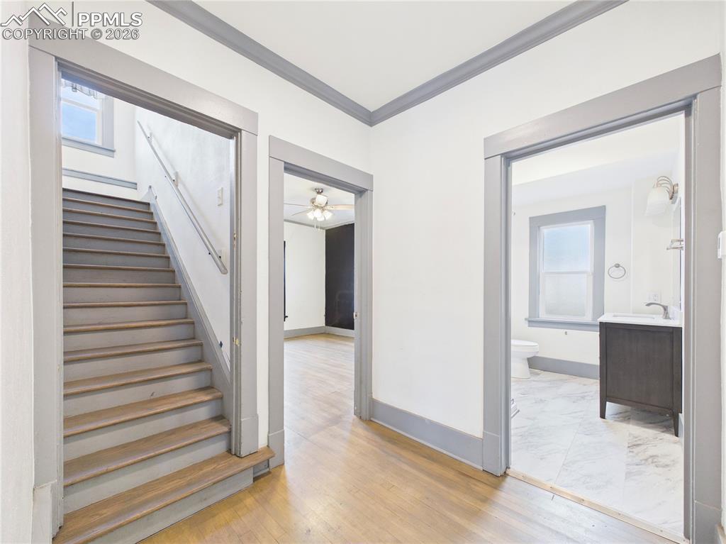 Image 14 of 39: Other