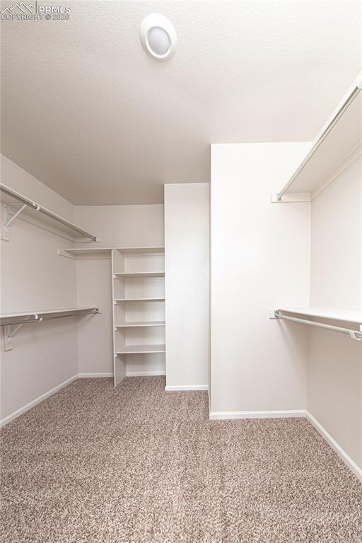 Image 22 of 50: Primary Bedroom Closet with built-in shelving!