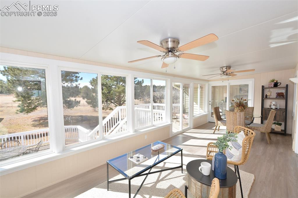 Image 16 of 50: Sun Room