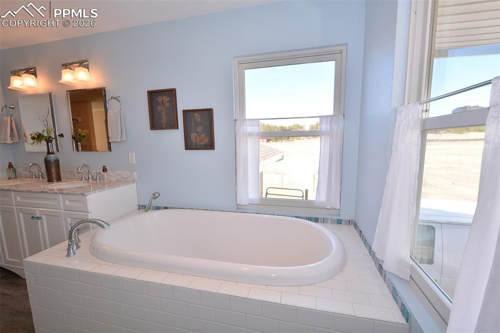 Image 30 of 50: Master bathroom soaking tub.
