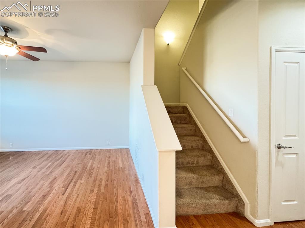 Image 19 of 40: Other