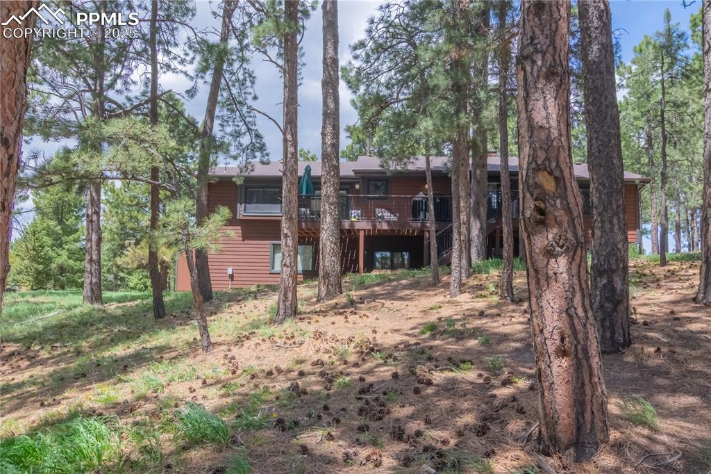 Image 6 of 47: Back of Structure