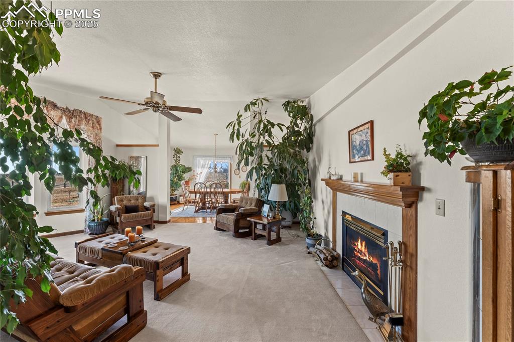 Image 4 of 50: Living Room