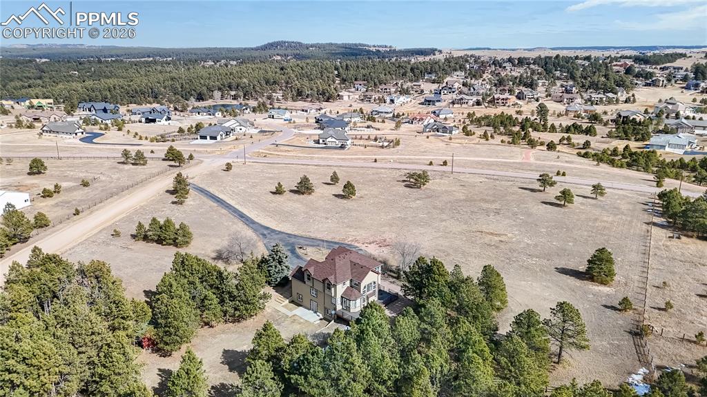 Image 36 of 50: Bird