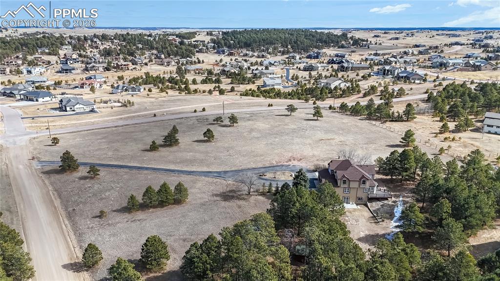 Image 37 of 50: Bird