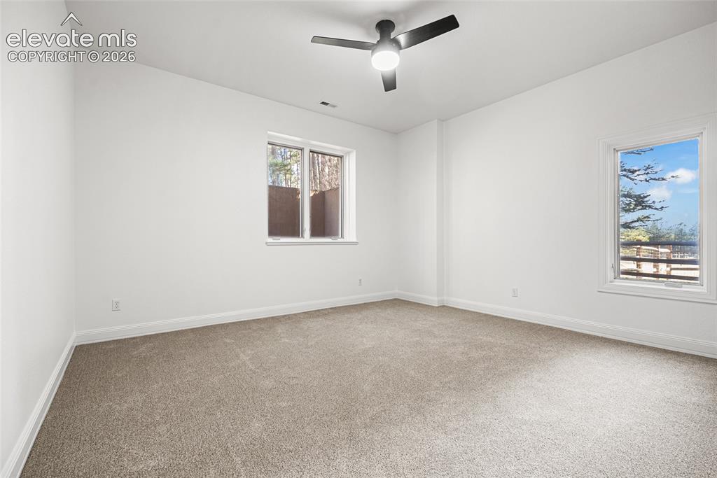 Image 36 of 42: 4th Bedroom in the Basement