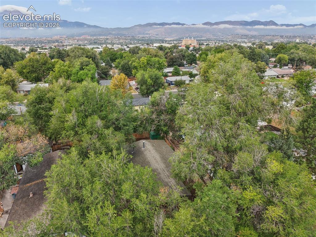 Image 34 of 36: Aerial perspective showcasing extensive tree coverage and a distant mountai