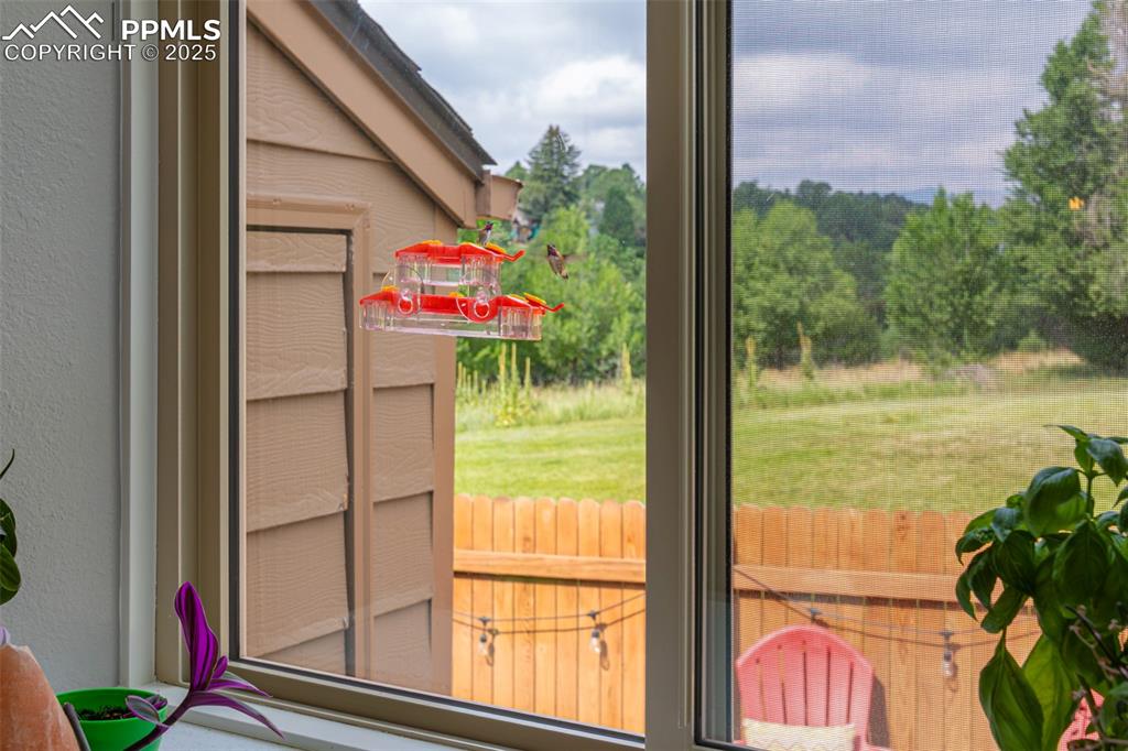 Image 11 of 27: Kitchen view with Brand new box window. Hummingbird feeder can stay