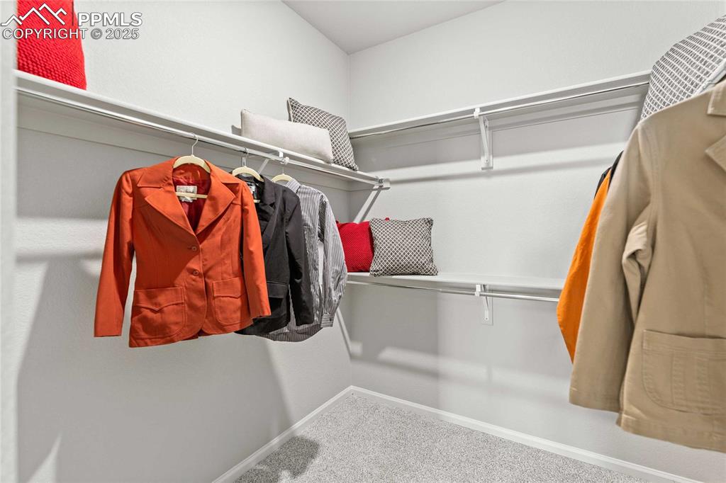 Image 24 of 27: Spacious closet featuring carpet flooring