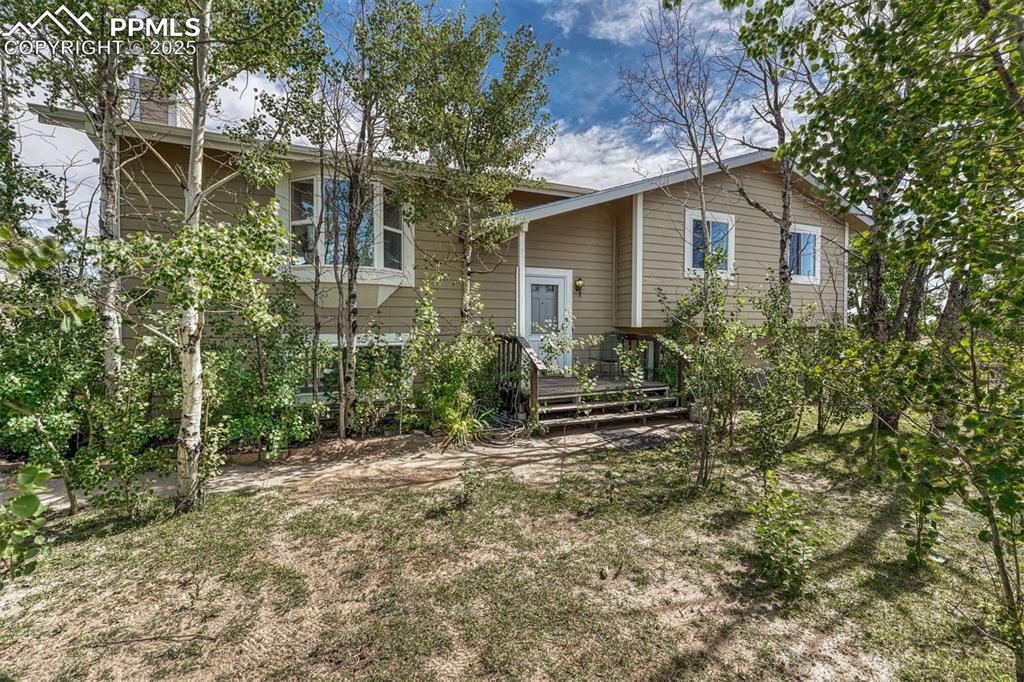 Image 48 of 49: Front of Structure