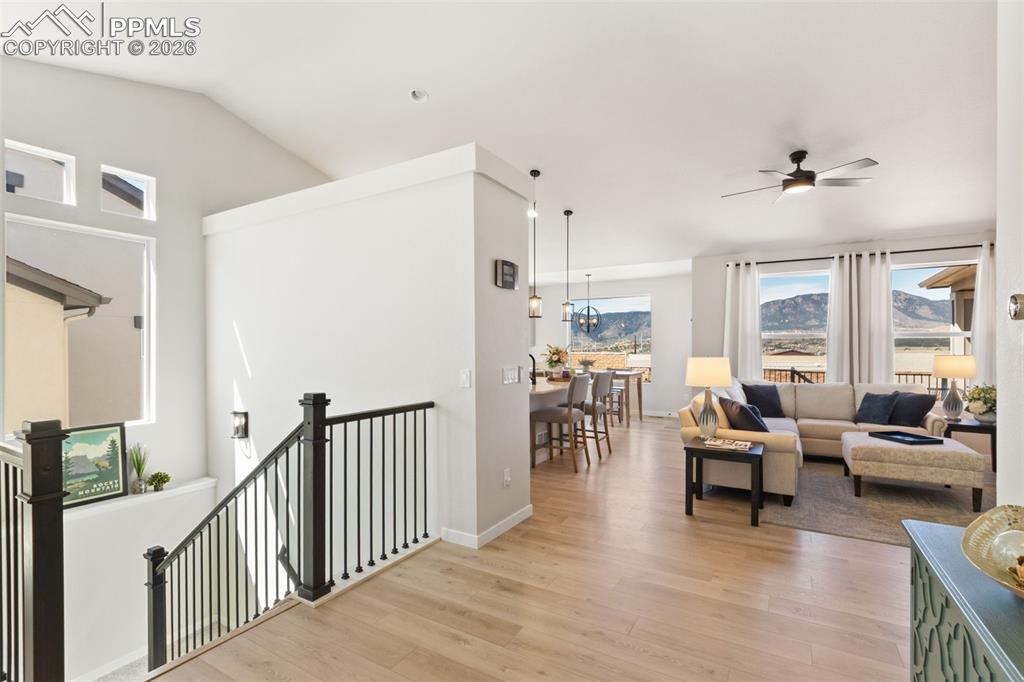 Image 6 of 47: Other