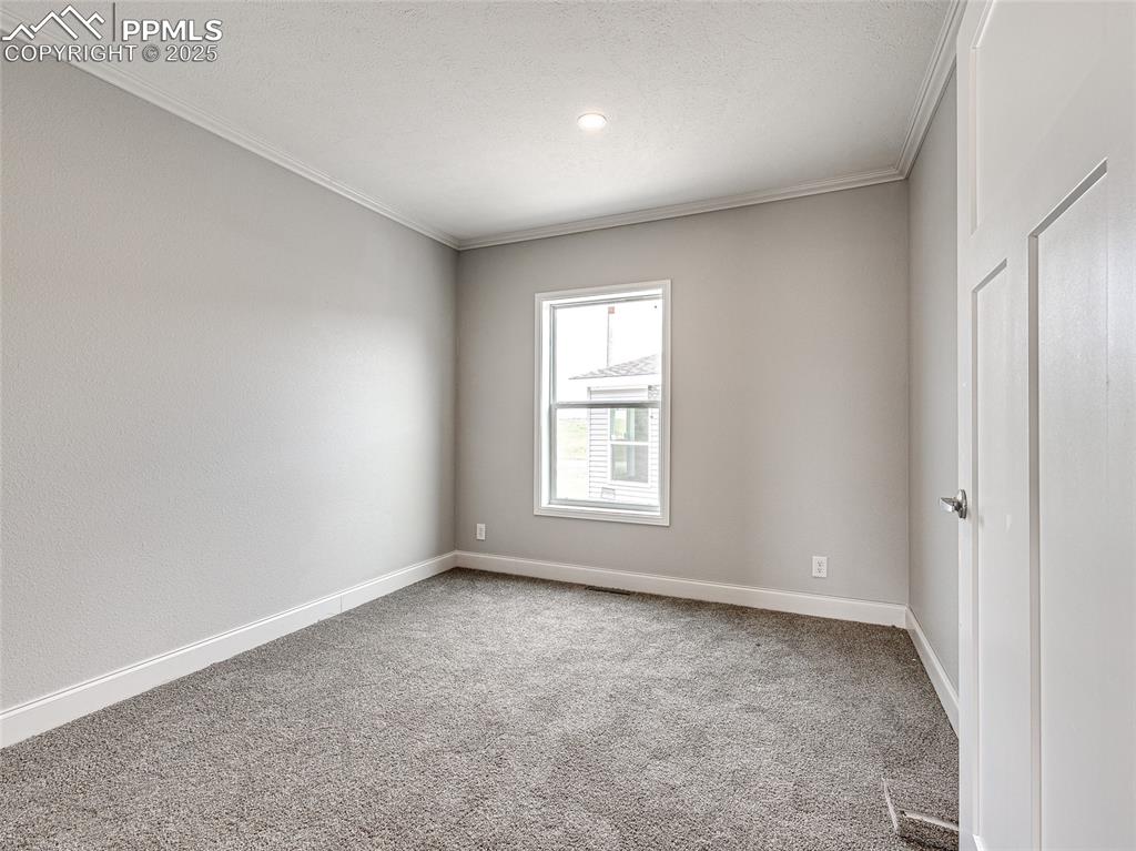Image 16 of 25: Spare room featuring crown molding and light carpet