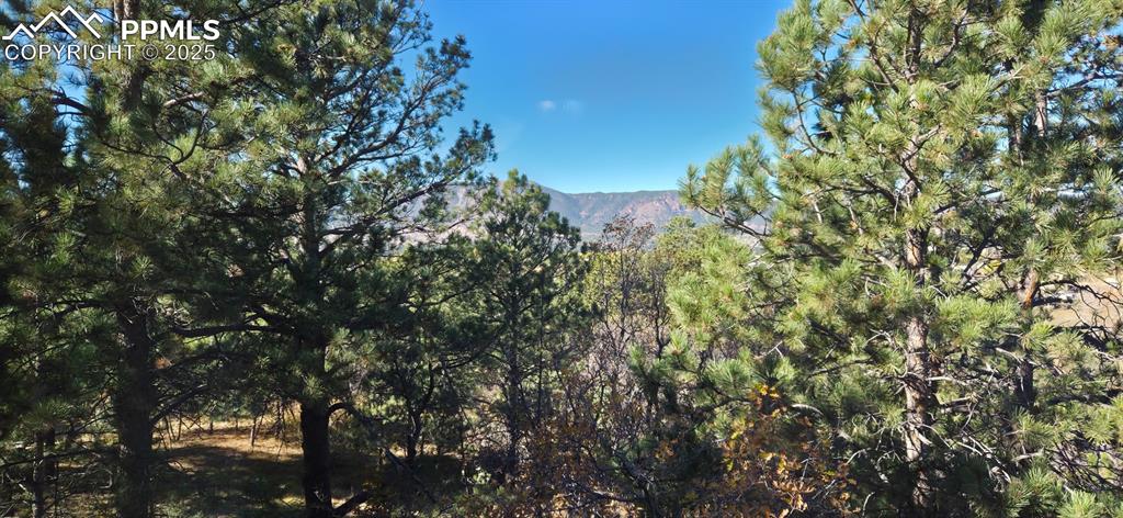 Image 30 of 34: View of mountain backdrop featuring a forest