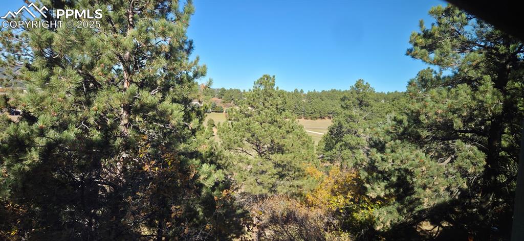 Image 31 of 34: View of tree filled area