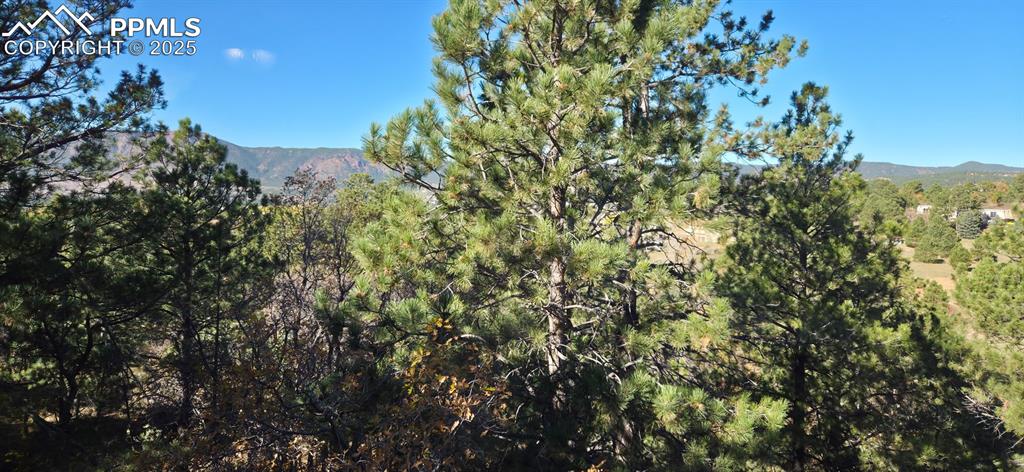 Image 32 of 34: View of mountain backdrop featuring a forest