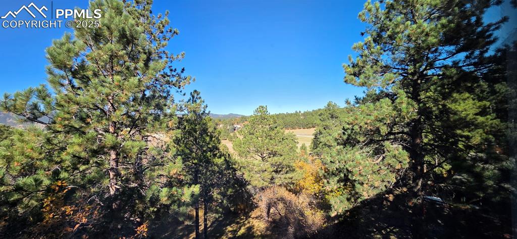 Image 33 of 34: View of wooded area