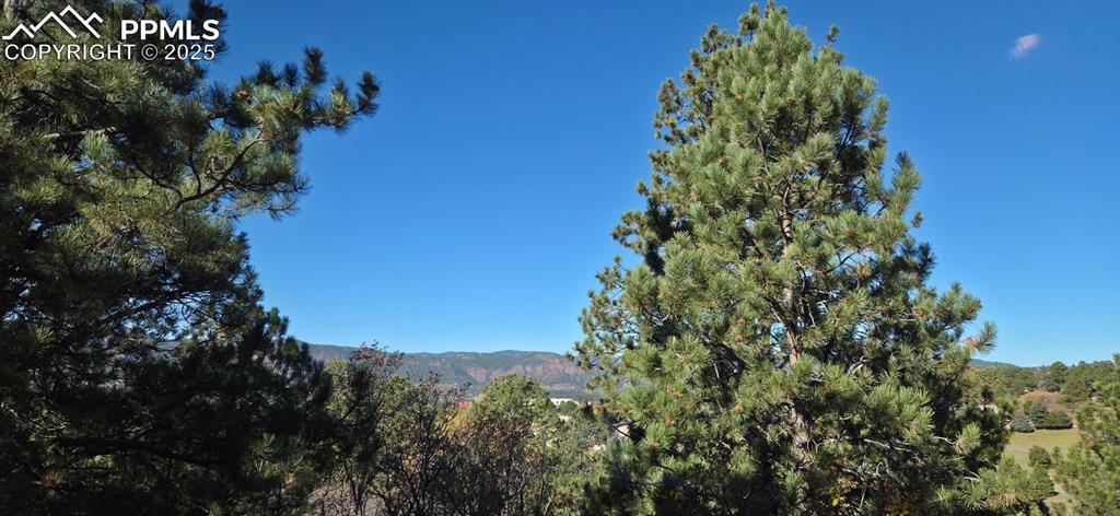 Image 34 of 34: View of mountain backdrop featuring a heavily wooded area