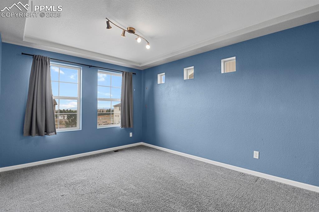 Image 14 of 30: Carpeted spare room with a textured ceiling, a textured wall, and rail ligh