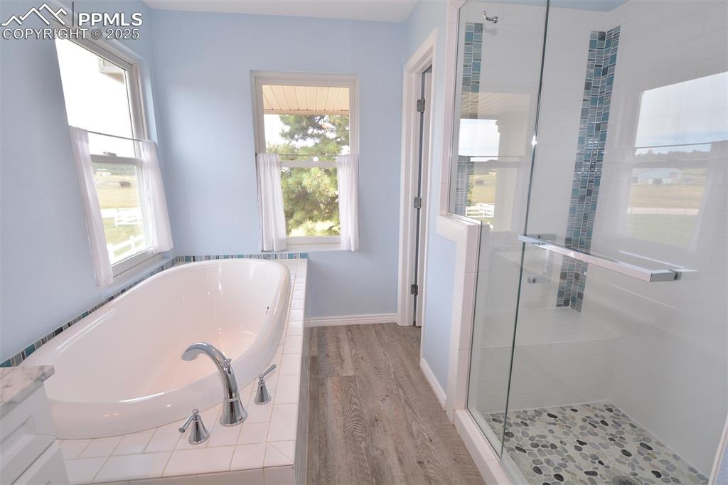 Image 22 of 50: Spa Shower and Soaking tub