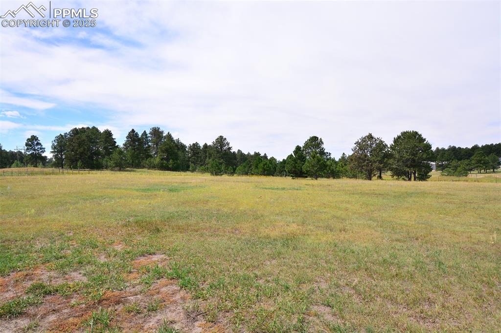 Image 49 of 50: Back pasture