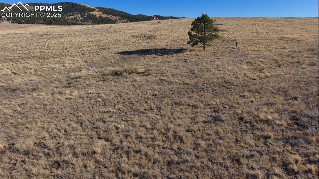 Image 10 of 12: View