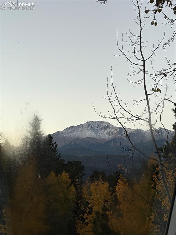 Image 4 of 37: Morning View from Primary Bedroom