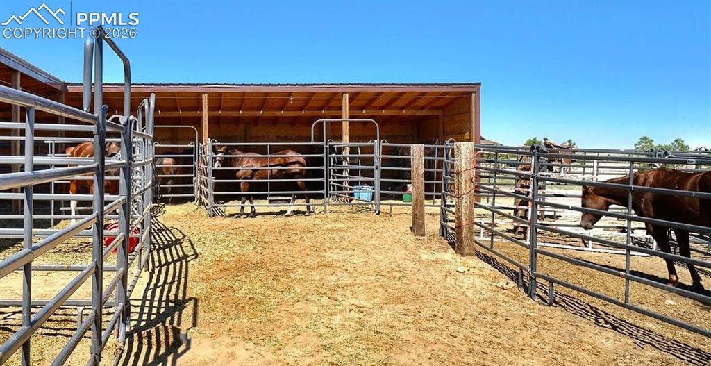 Image 7 of 13: HORSE STALLS
