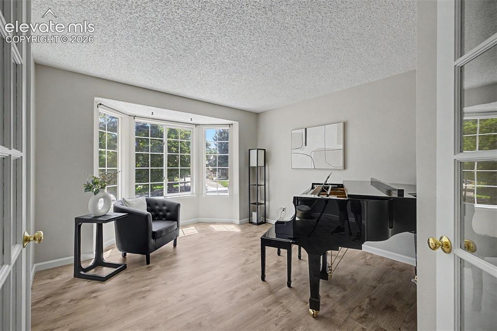 Image 30 of 49: Bright room featuring wood-finish flooring and a multi-pane bay window