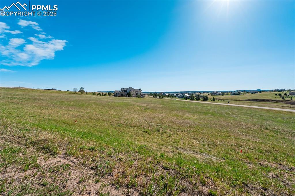 Image 8 of 12: Yard