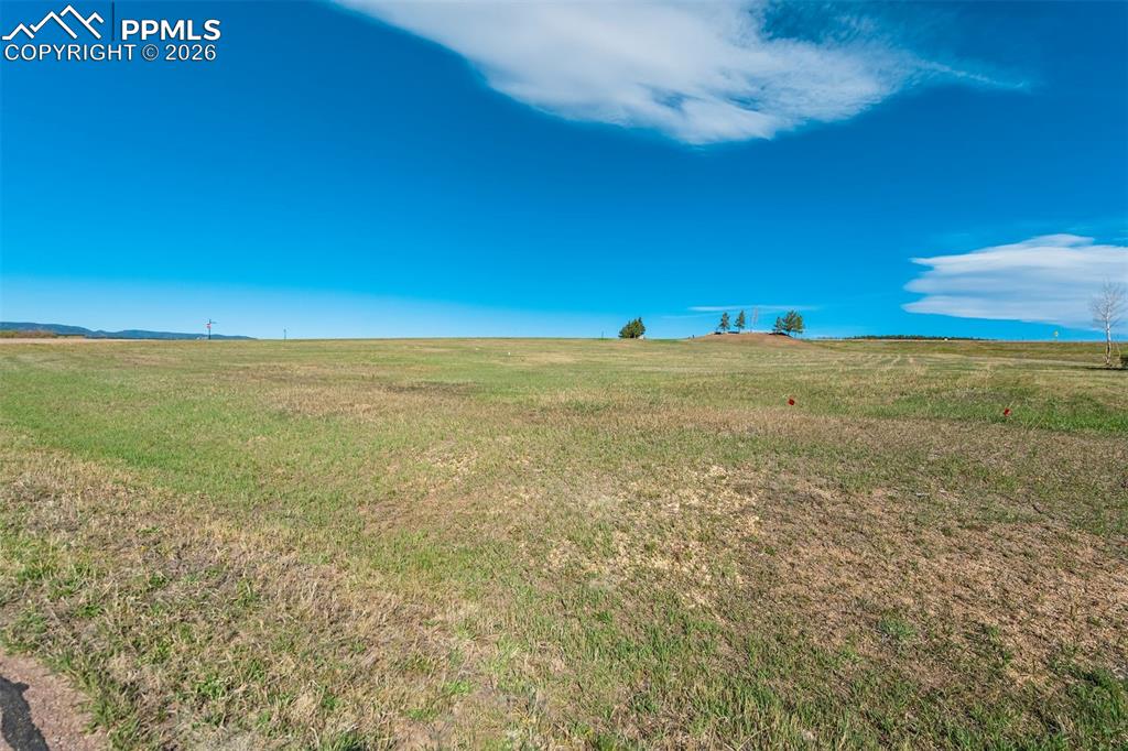 Image 9 of 12: Yard