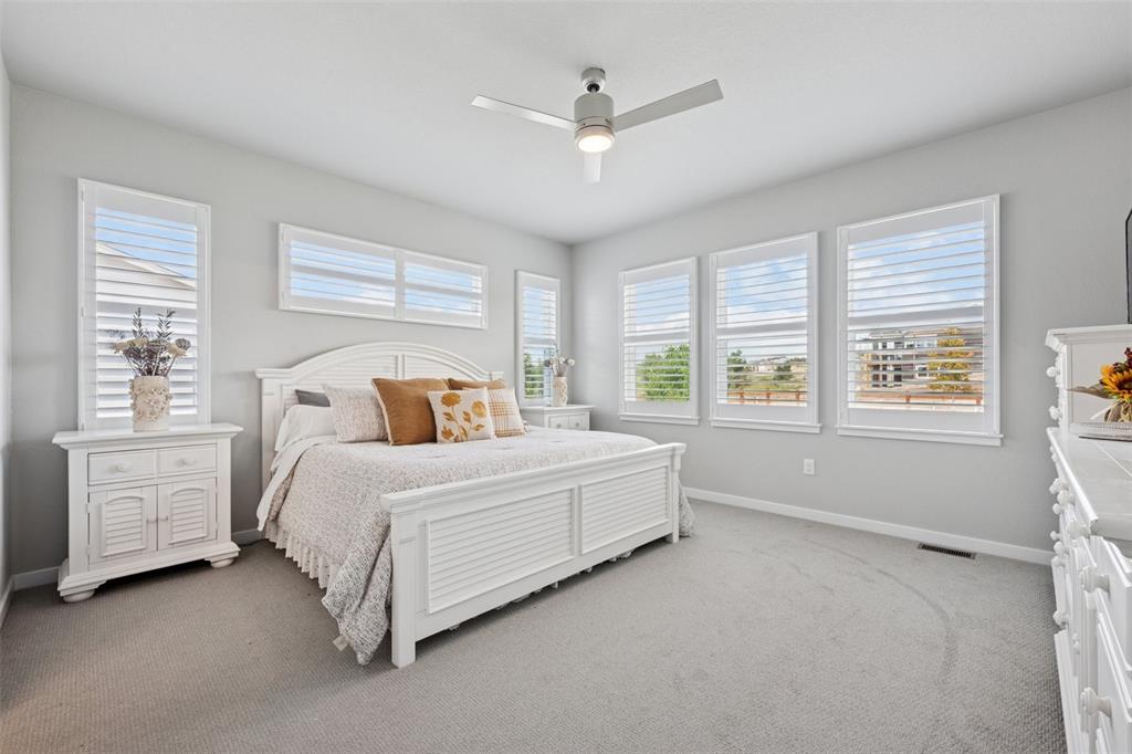 Image 19 of 44: Huge master bedroom with upgraded carpet, fan and window coverings!