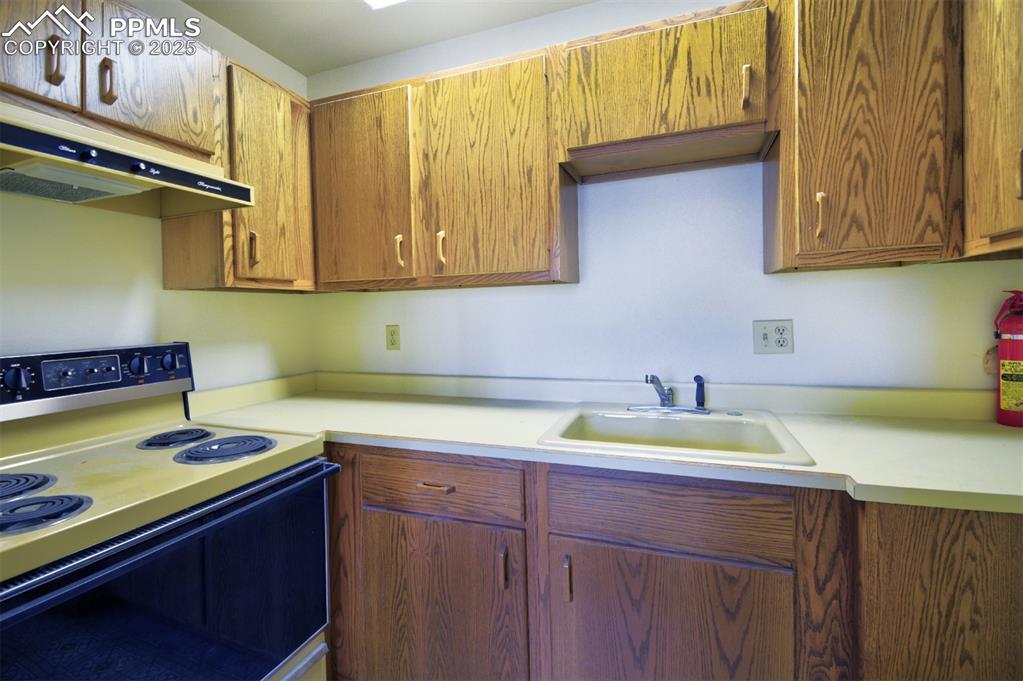Image 8 of 46: Kitchenette in lower level.