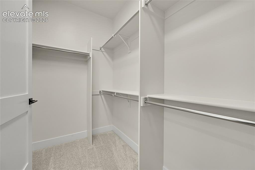 Image 20 of 35: Walk-in closet featuring light-toned carpet, white baseboards, a white inte