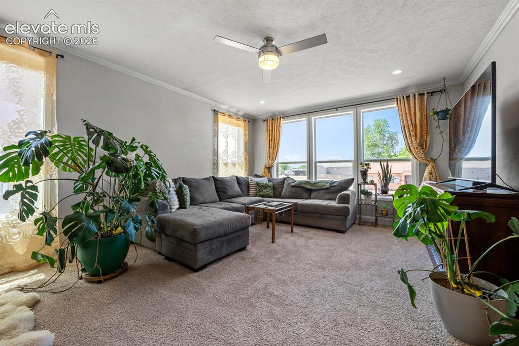 Image 6 of 38: Living Room