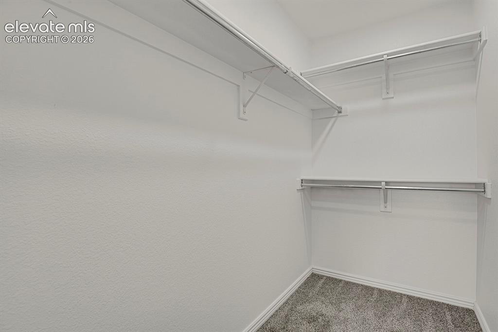 Image 28 of 49: Walk-in closet featuring white walls, gray carpet flooring, and white shelv