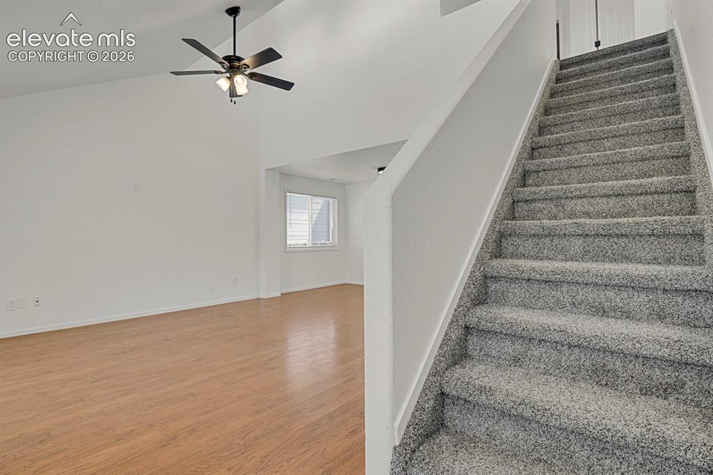 Image 5 of 49: Carpeted staircase with light gray tones