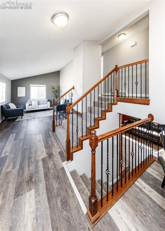 Image 5 of 35: Other