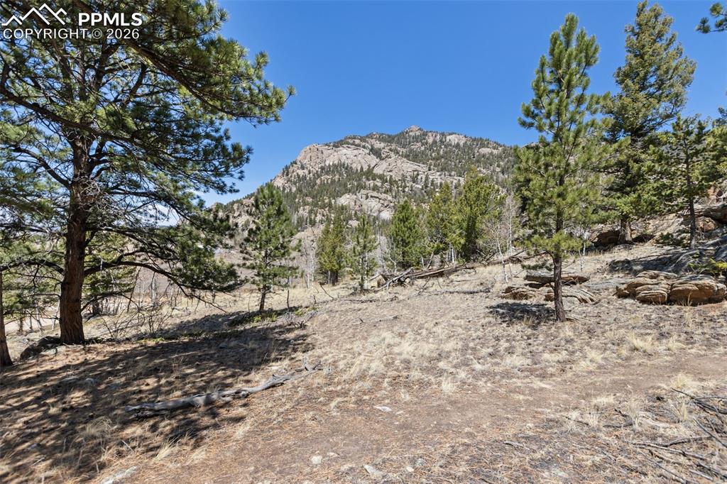 Image 34 of 44: View