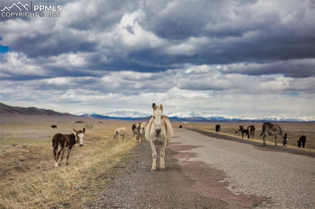 Image 39 of 44: Community